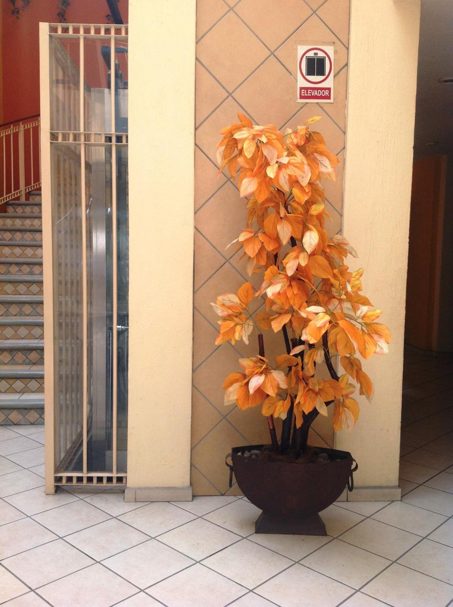Plaza Jardin Hotel Tequila Exterior foto